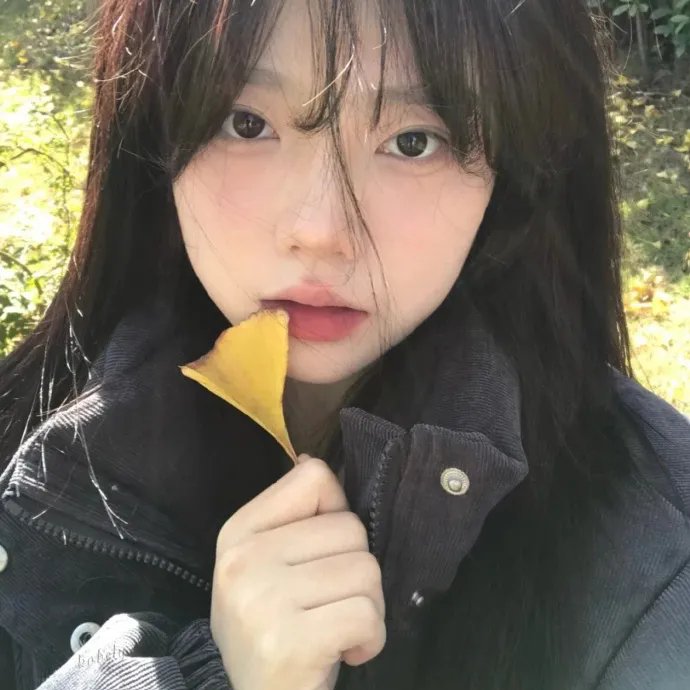 彩虹小马：小马国女孩